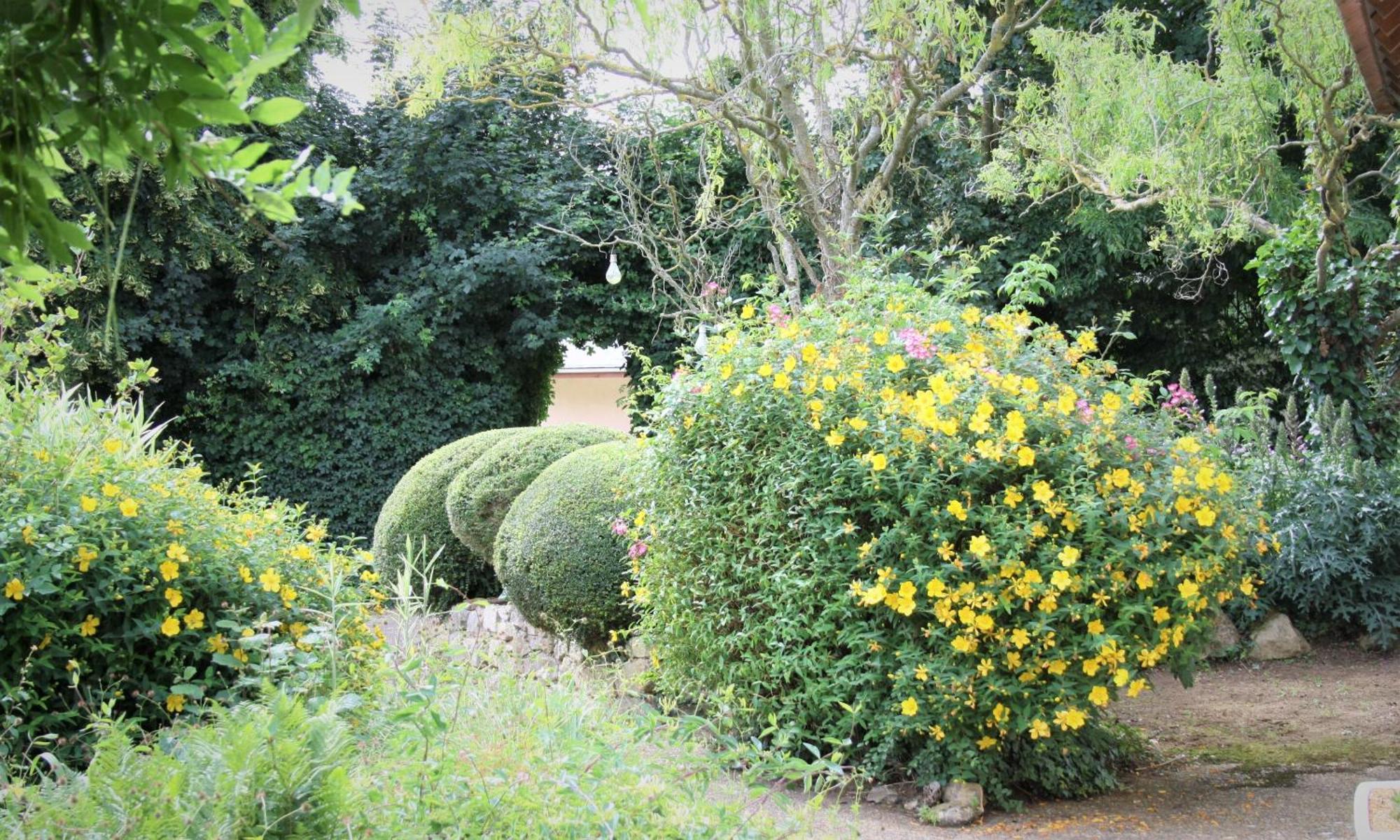 Manoir De La Basse-Cour Bed & Breakfast Asnieres-sur-Vegre Exterior photo